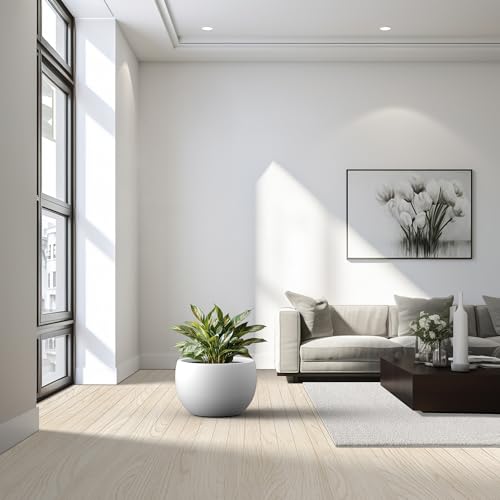 Kante Large Round Bowl White Concrete Planter 20" Dia, Outdoor - color: Pure White, size: 19.9" d