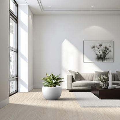 Kante Large Round Bowl White Concrete Planter 20" Dia, Outdoor - color: Pure White, size: 19.9" d