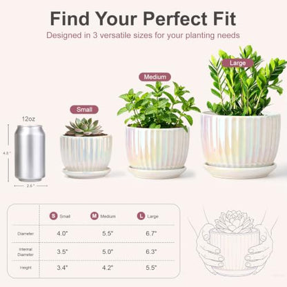 Plant Pots,Ceramic Flower Pots with Drainage Holes & Saucer Set of 3（Pearl） - color: Pearl White