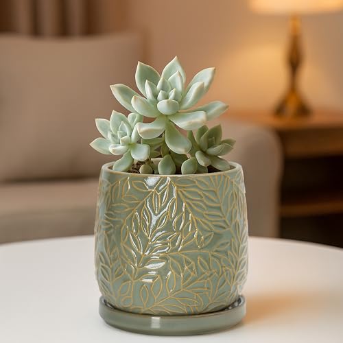 D'vine Dev Embossed Leaves Ceramic Planter, 5 in, Olive, 27-A-V-0 - color: Olive, size: 5 Inch