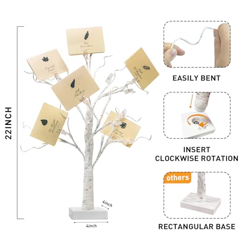 PEIDUO Set of 2 Money Trees, Lighted 22Inch 24LT White Birth Tree with Clips and Greeting Cards, Gift Card Holder for Birthday,Christmas, Wedding, Father's Day Graduation Gifts, Money Tree Gift Holder - color: Transparent,white