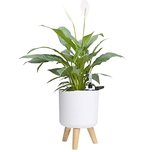 6.5" & 5.5" Self Watering Planters (2 Pack) for Indoor Plants with Water Indicator, White Modern Flower Pot with Wood Stand for Office Home Decor Garden (Small+Middle) - size: 2 Pack - Small+Middle