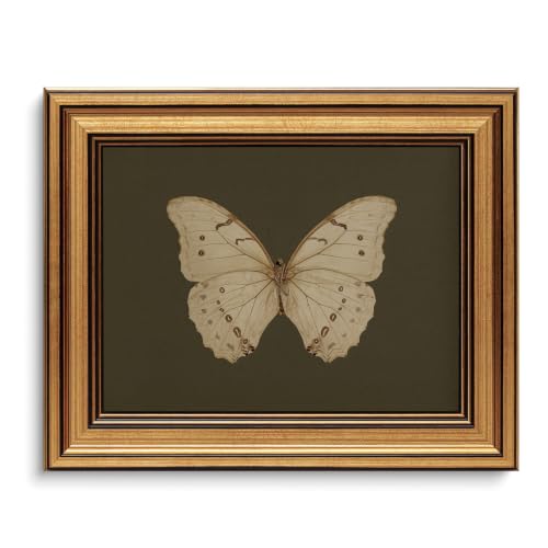 Vintage Butterfly Wall Art Gold Framed Canvas Print 8x10 inch - color: 01-Vintage butterfly, size: 8x10