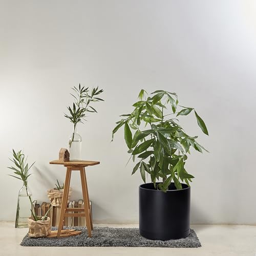 D'vine Dev Plastic Planter Pot with Saucer, 16 in, Black, 74-X-B-5 - color: Matte Black, size: 16 Inch
