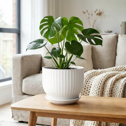 8 Inch Ceramic Plant Pot,White - color: Pure White, size: 8 Inch(1 PCS)