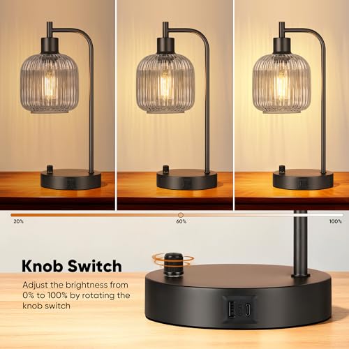 Grey Glass Table Lamps Set of 2, Dimmable Bedside Lamps for Living Room - color: Black&Grey