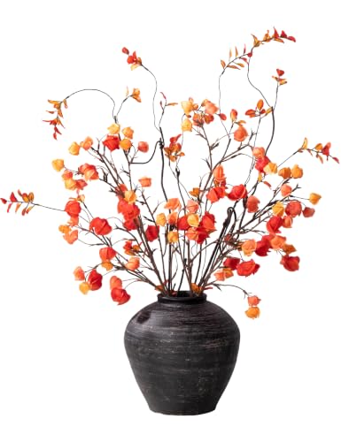 Fall Physalis Branches - 37" Faux Red Berry Stems, fake Flowers for Vase - color: 4pcs Physalis + 2pcs Ficus