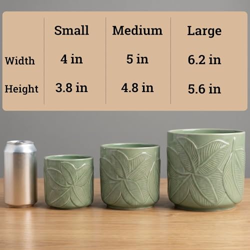 Ceramic Pots for Plants Set of 3, 6, 5, 4 Inch Diameter with Drainage Holes