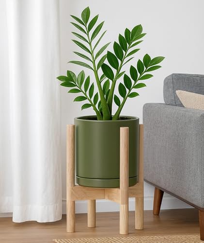 D'vine Dev Ceramic Pot with Natural Wood Stand, Olive, 8 in, 55-B-N-J - color: Olive Pot + Natural Stand, size: 8 Inch