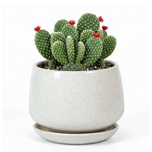 7.5 Inch Flower pots for Indoor Outdoor Plants with Saucer Drainage Leak-Proof Mesh, Ceramic Planter with Gardening Gloves for Succulent and Flower(Matte White) - color: Matte White, size: 7.5 Inch
