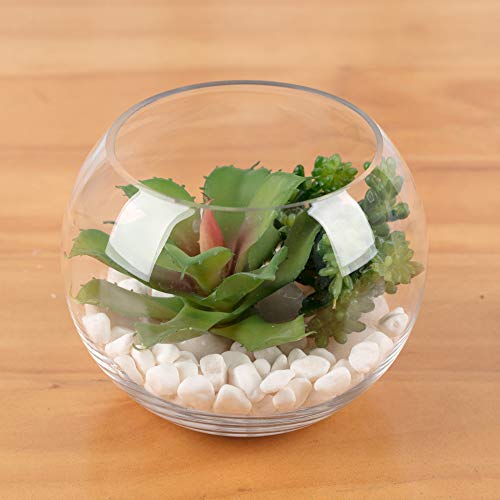 WGV Bowl Glass Vase Bulk, Diameter 8", Height 6.5", Open Width 3.75", (Multiple Sizes Choices) Clear Bubble Planter Terrarium Fish Bowl for Wedding Event Home Decor, 6 Pieces (VBW0008) - size: 8"Dx6.5"H 1 Case
