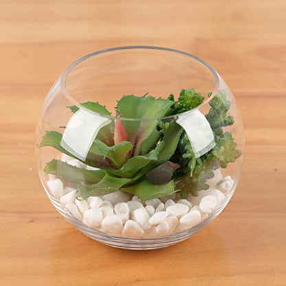 WGV Bowl Glass Vase Bulk, Diameter 8", Height 6.5", Open Width 3.75", (Multiple Sizes Choices) Clear Bubble Planter Terrarium Fish Bowl for Wedding Event Home Decor, 6 Pieces (VBW0008) - size: 8"Dx6.5"H 1 Case