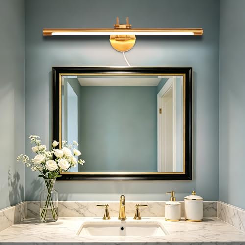 MantoLite 24'' Picture Lights for Wall,Vanity Lights for Bathroom - size: 24inch no-dimmable