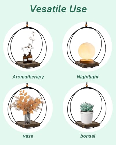 vensovo Hanging Planter for Indoor Plants, 2 Pack