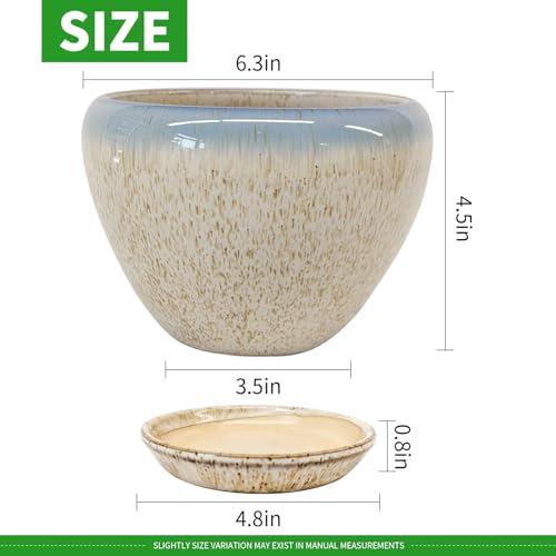 Deep Dream 6 Inch Plant Pots- Ceramic Planter Pot with Drainage Hole and Saucer, Round Flower Pot for Indoor Outdoor Succulent, Snake Plants and Cactus, Beige&Blue - color: Beige&blue, size: 6 Inch