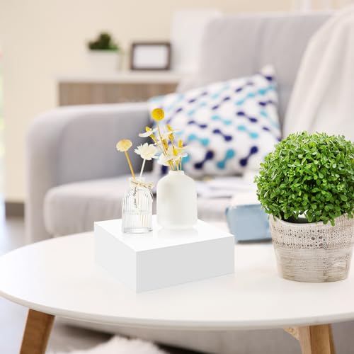 Leinuosen 7 Pcs Large Acrylic Buffet Risers, 6-12" Square, White - color: White, size: 6" to 12", style: Square