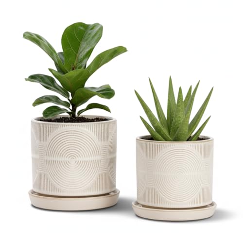 Ceramic Plant Pots, Modern Flower Pots, 4.5+5.5 Inch Small Plant Pots - color: White