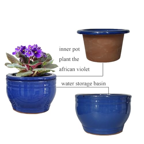 African Violet Pots Self Watering Blue 6 inch - color: Blue