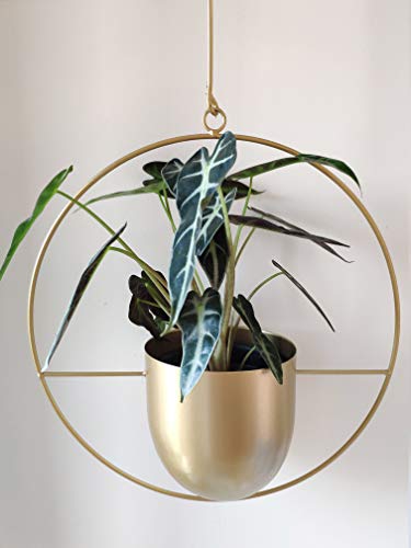 Boho Metal Plant Hanger,Metal Round Hanging Planter, Modern Planter, Mid Century Plant Holder, Minimalist Planter for Indoor Outdoor Home Decor (Gold)