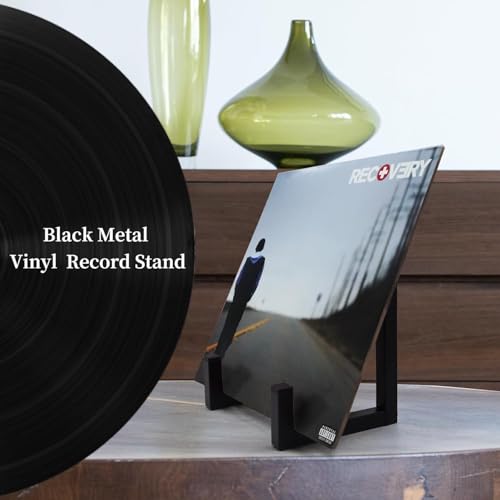 Vinyl Record Holder, 1 Pcs Metel Tabletop Record Display for Album Magazine