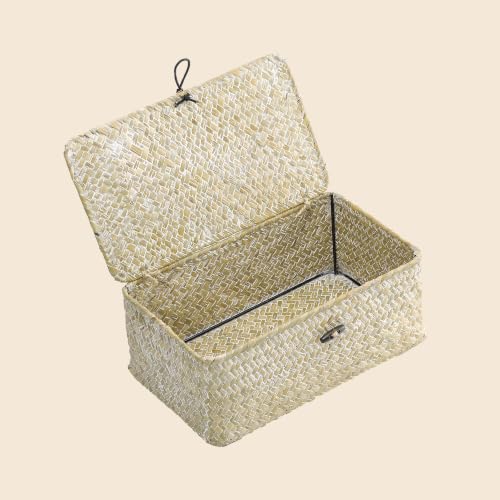 Nonam Small Wicker Basket with Lid,Seagrass Shelf Storage Basket,White - color: S-White