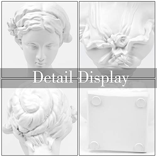 Norrclp Greek Statue of Venus Goddess, 8.6in Classic Roman Head Bust - color: Venus-8.6in
