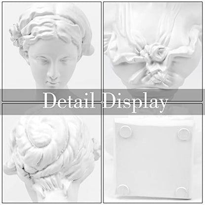 Norrclp Greek Statue of Venus Goddess, 8.6in Classic Roman Head Bust - color: Venus-8.6in