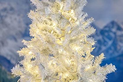 Novelty Lights 11.5 Feet 35 LED String Lights, Warm White on White Wire - color: Warm White (Connectable)