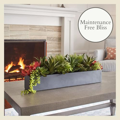 CG Hunter, Oblong Faux Succulent Arrangement, Grey, Home Decor - size: 27" Oblong Grey