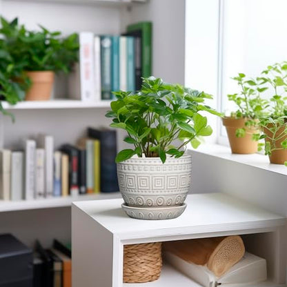 G EPGardening Ceramic Pots for Plants, 5 Inch Plant Pot, White - color: Palindrome White