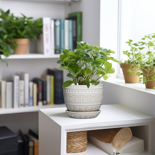 G EPGardening Ceramic Pots for Plants, 5 Inch Plant Pot, White - color: Palindrome White