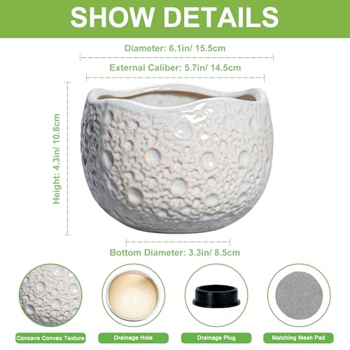 Ceramic Plant Pots 6 Inch, Ceramic Orchid Pot with Drainage, Grey - color: Gray, size: 6.2 Inch