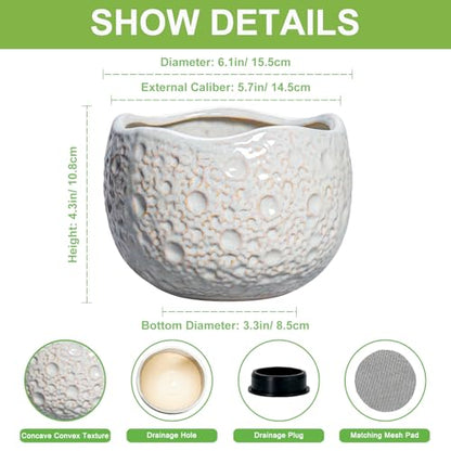 Ceramic Plant Pots 6 Inch, Ceramic Orchid Pot with Drainage, Grey - color: Gray, size: 6.2 Inch