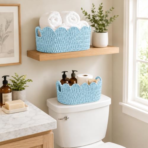 Endymion Set of 2 Paper Rope Scalloped Basket, Wicker Storage Baskets Blue - color: Blue