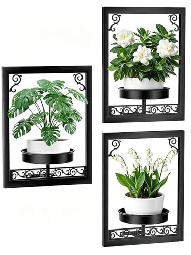 WGFKVAS Wall Plant Holder Set of 3, Picture Frame Plant Holder