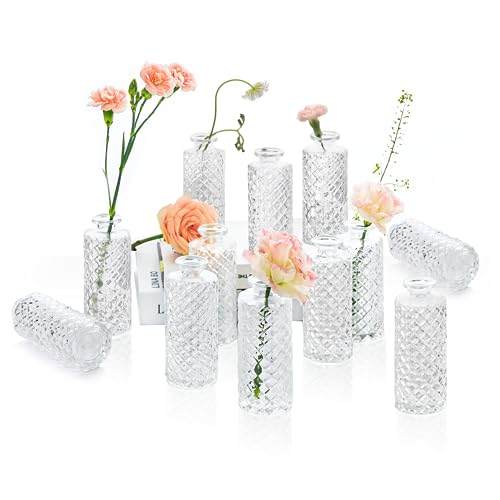 ComSaf Small Glass Bud Vases in Bulk, 12 Pack for Centerpieces, Clear - color: Clear, size: 12 Pcs
