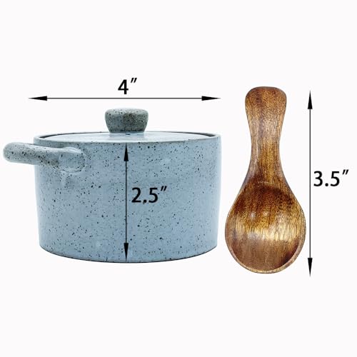 12 oz Ceramic Salt Cellar with Lid & Wooden Spoon,Countertop Salt Container,Sugar Bowl,Spices Jar| Artisan Kitchen Decor(Gray) - color: Gray B