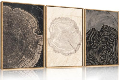 DRACIT Beige Pastel Wood Tree Rings Framed Canvas Wall Art Set-16"x24"x3 - color: Beige Tree Rings Wall Art, size: 16"L x 24"W