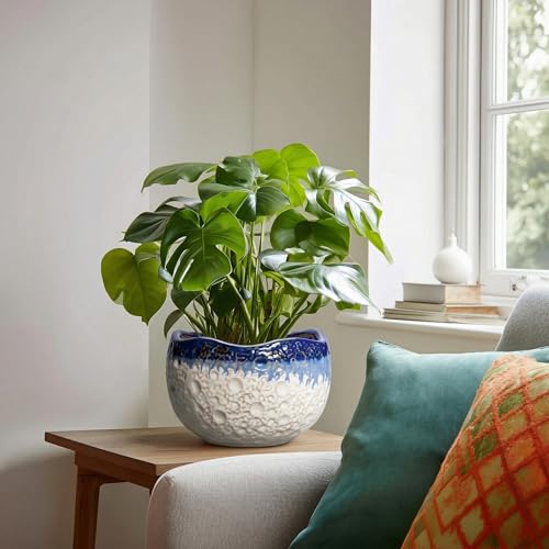 Ceramic Planter 8 Inch, Ceramic Plant Pots Indoor, Beige-Blue - color: Beige-blue, size: 8.2 Inch