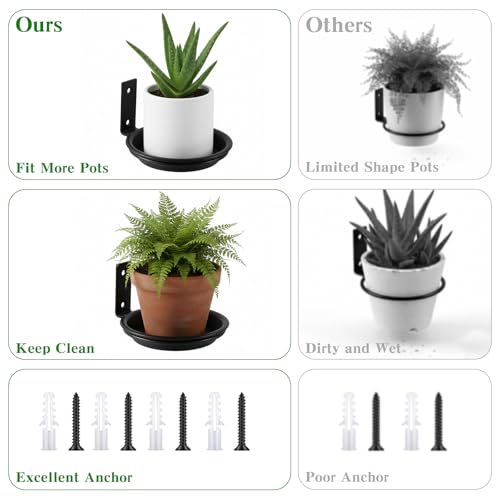 6 Pack Wall Mount Plant Holder with 8 Replaceable Trays, Black, 4 Inch - size: 4 Inch