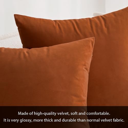 MIULEE 12x20 Inch Lumbar Fall Velvet Throw Pillow Cover Set of 1 Rust | Soft Luxury Decorative Throw Pillow Cover, Single Rectangle Cushion Case, Home Decor for Chair Couch Sofa Bedroom Car Bed - color: Rust, size: 20" x 12" (Pack of 1)