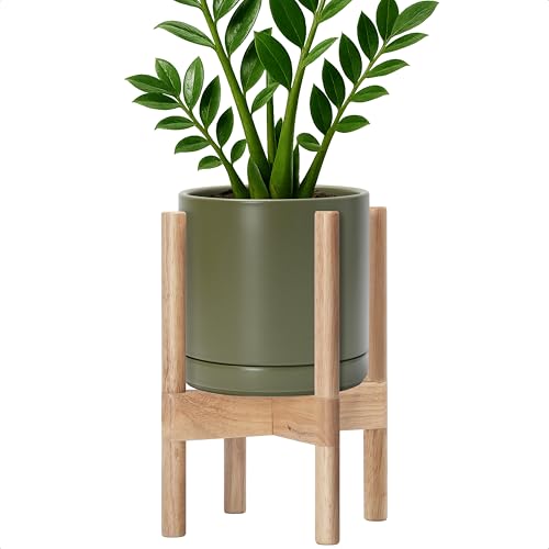D'vine Dev Ceramic Pot with Natural Wood Stand, Olive, 8 in, 55-B-N-J - color: Olive Pot + Natural Stand, size: 8 Inch