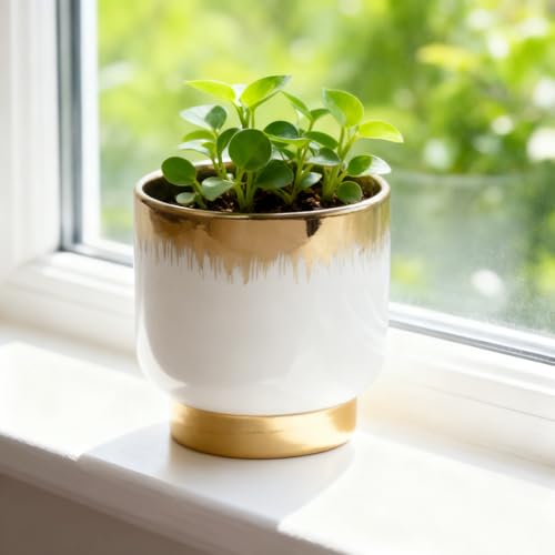 White Gold Ceramic Planters, Flower Pots, 4.33 X 4.33 Inch - color: White and Gold