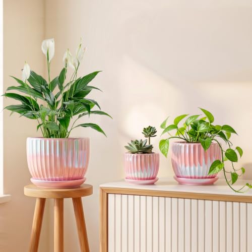 Pink Plant Pots，Ceramic Planters with Drainage Holes and Saucers Set of 3 - color: Pink