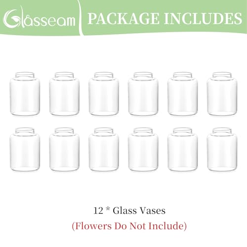 Glasseam Bud vases Set of 12: Glass Vases for Centerpieces Modern Small Vases for Home Table Shelf Wedding Party Decoration - Clear Vase for Flowers Stem Roses Tuilps Cuttings - size: 12Pcs