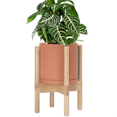 D'vine Dev Terracotta Pot with Natural Wood Stand, 8 in, 55-B-N-5 - color: Terracotta Pot + Natural Stand, size: 8 Inch