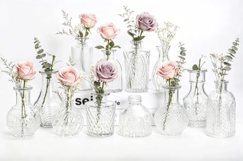 Mini Bud Vases Centerpieces for Tables,Clear Bud Vases for Flowers,Small Flower Vases Suitable for Birthday Party,Anniversary,Wedding Reception,Baby Shower (Clear, 12PCS) - color: Clear, size: 12PCS