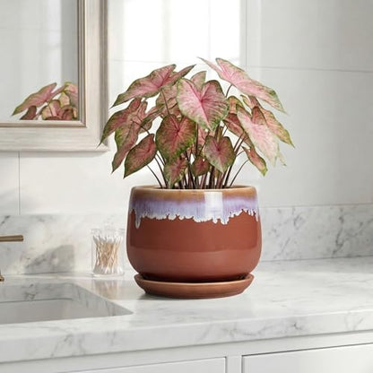 Ceramic Pots for Plants 7 Inch, Ceramic Planters, Red-Purple - size: 7 Inch, style: Red-purple