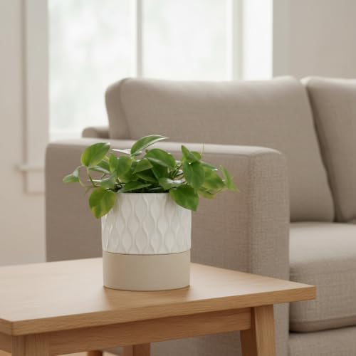 Nihow Self Watering Ceramic Plant Pot, 4.5 Inch, Cream White & Brown Net - color: Cream White & Brown Net, size: 4.5" Self Watering