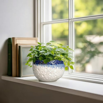 Ceramic Plant Pots, 6 Inch Orchid Pot with Drainage, Beige-Blue - color: Beige-blue, size: 6.2 Inch